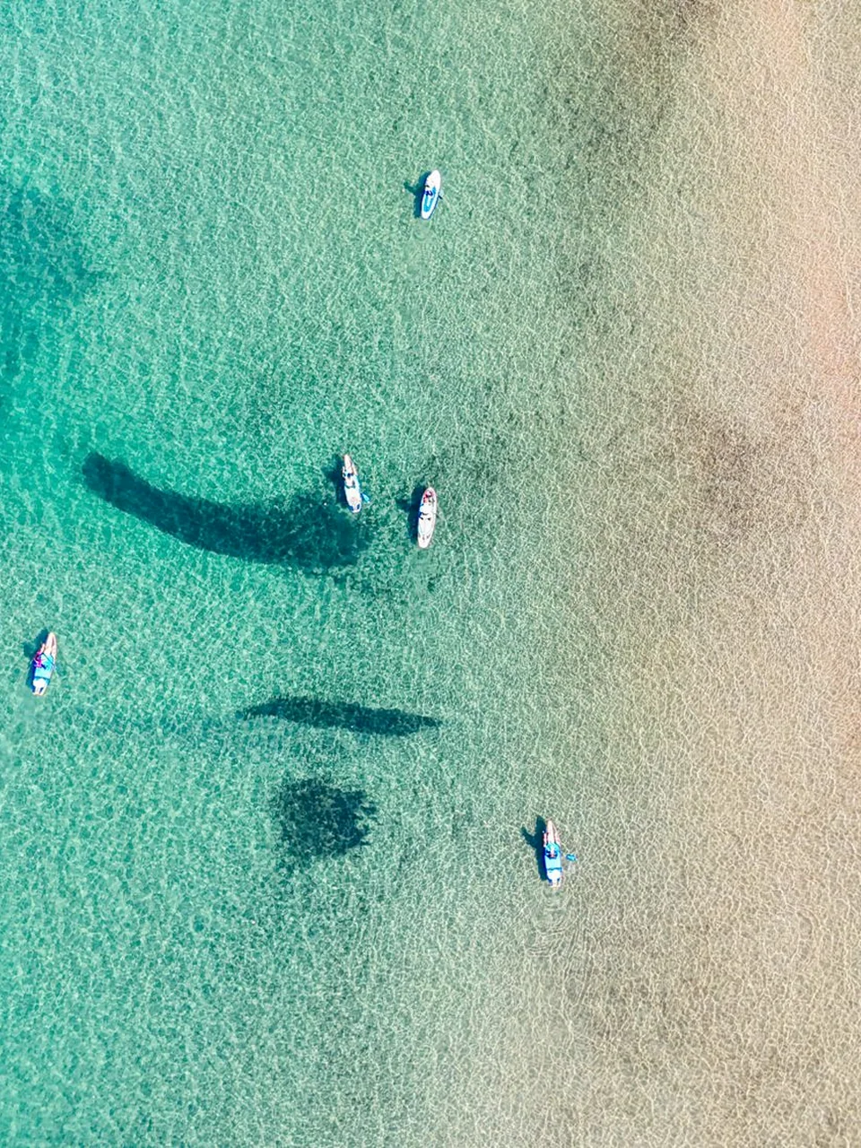 Paddleboarders crossing clear coastal water